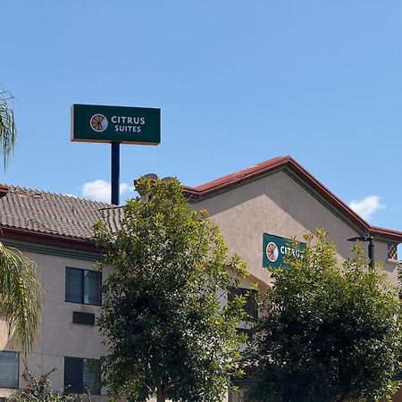 Citrus Suites Redlands Loma Linda Hotel Exterior foto